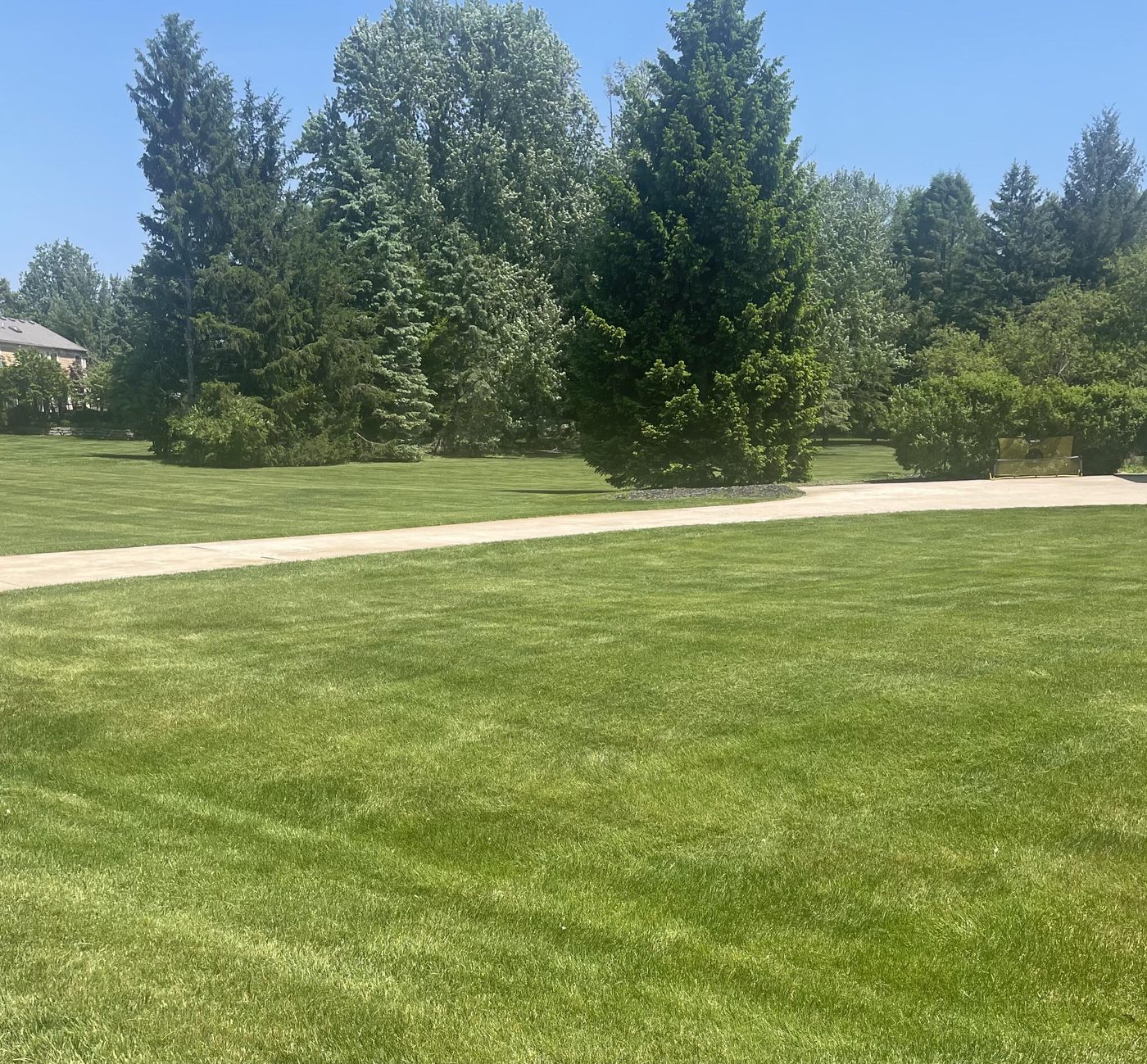 Freshly mowed lawn beside a driveway in Clinton, Michigan