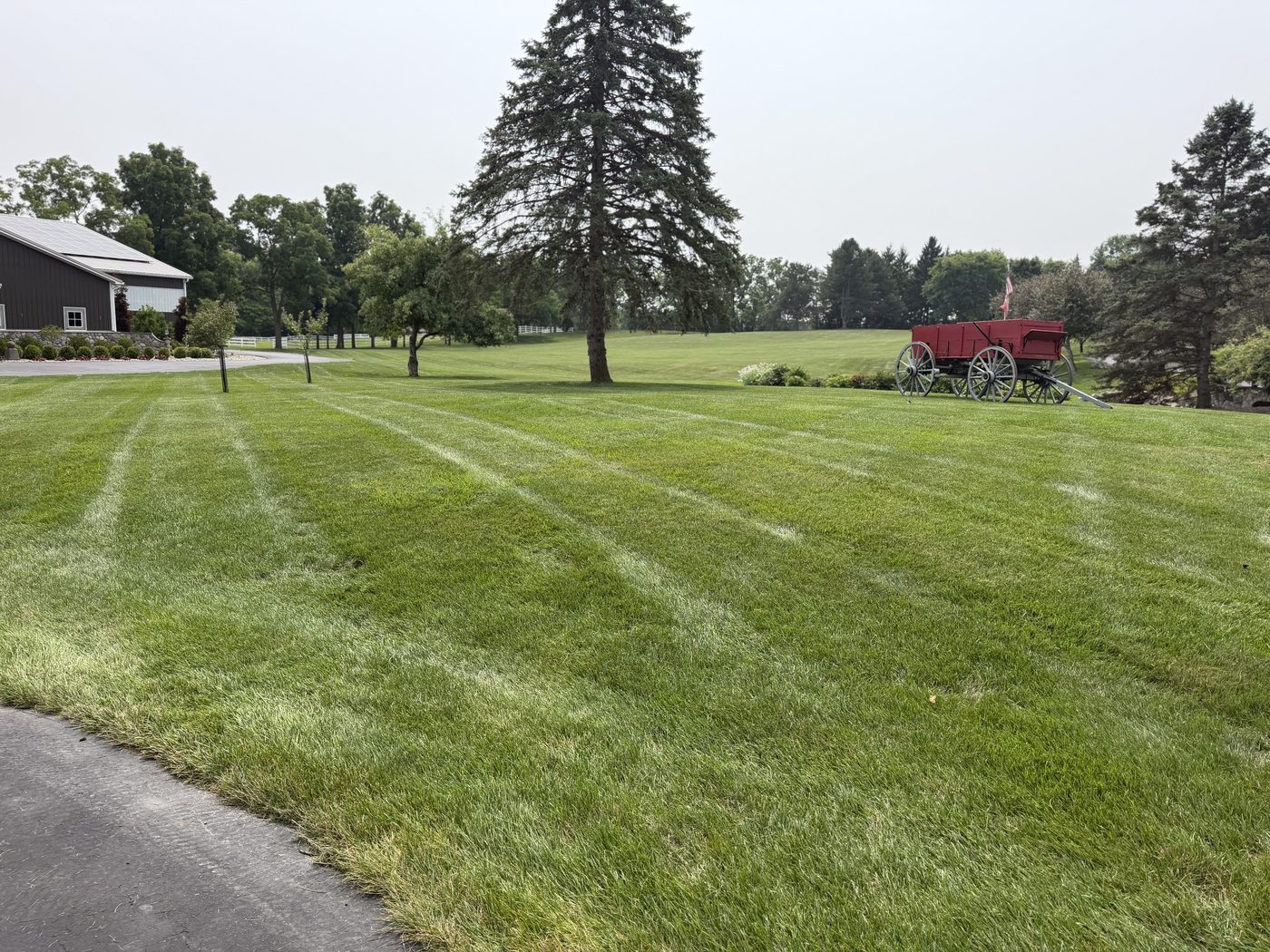 Freshly mowed lawn with sharp stripes at a home in Clinton, Michigan