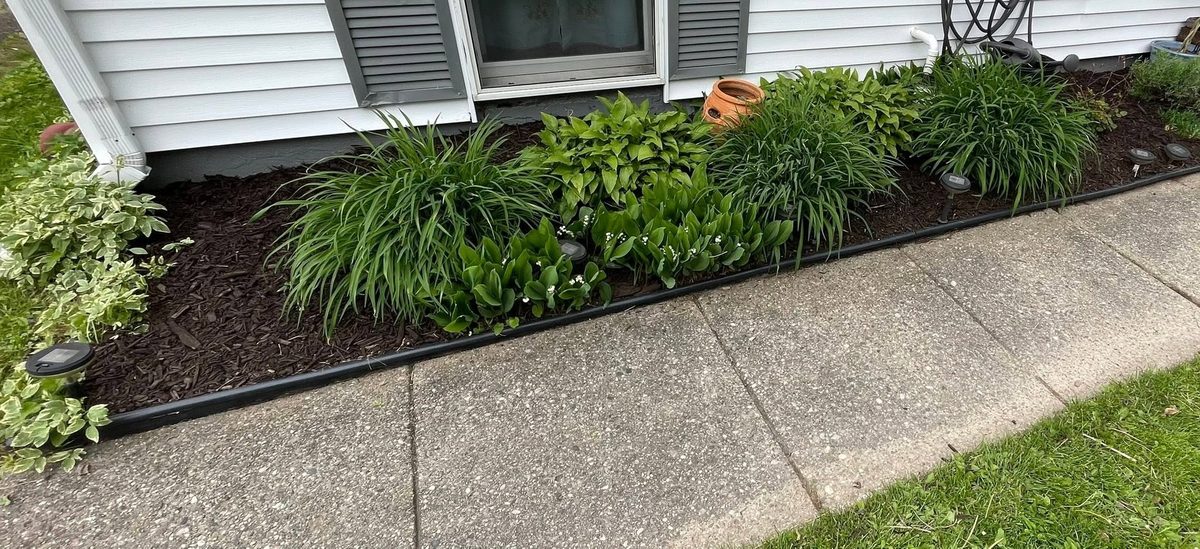 Lawn care result in Clinton, Michigan
