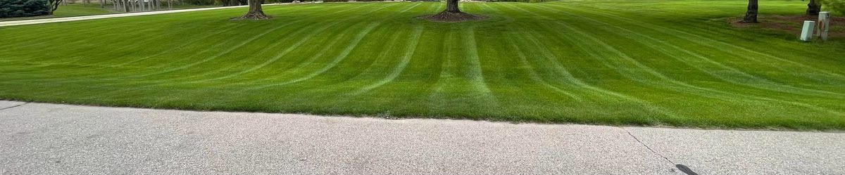 Lawn care result in Clinton, Michigan