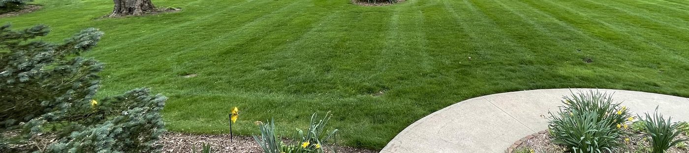 Wide lawn mowing stripes result in Clinton, Michigan