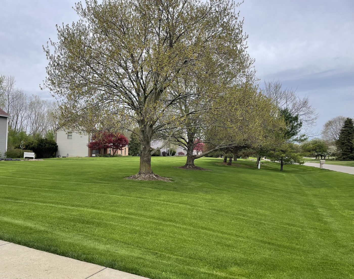 Wide striped lawn mowing result in Clinton, Michigan