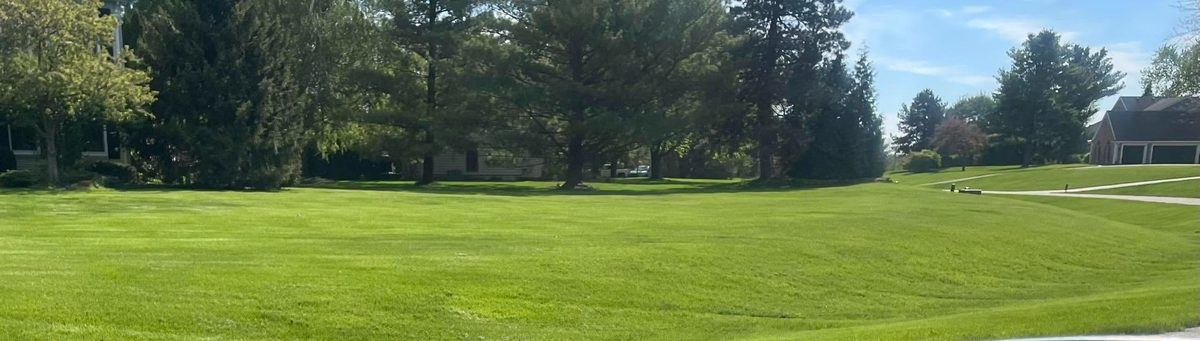 Yard care result in Clinton, Michigan